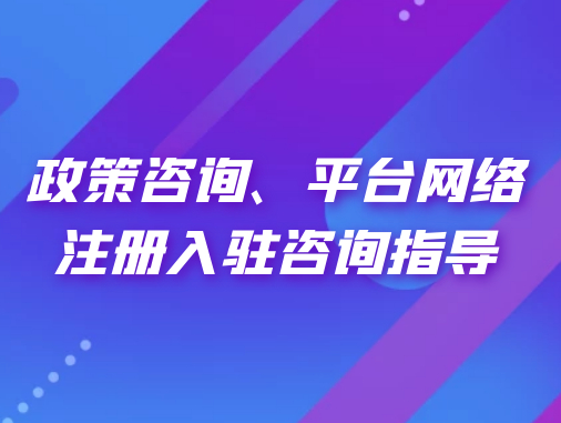 政策咨詢、平臺網(wǎng)絡(luò)注冊入駐咨詢指導